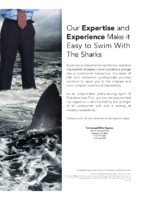 Commercial-Transactions-Easy-to-Swim-with-the-Sharks